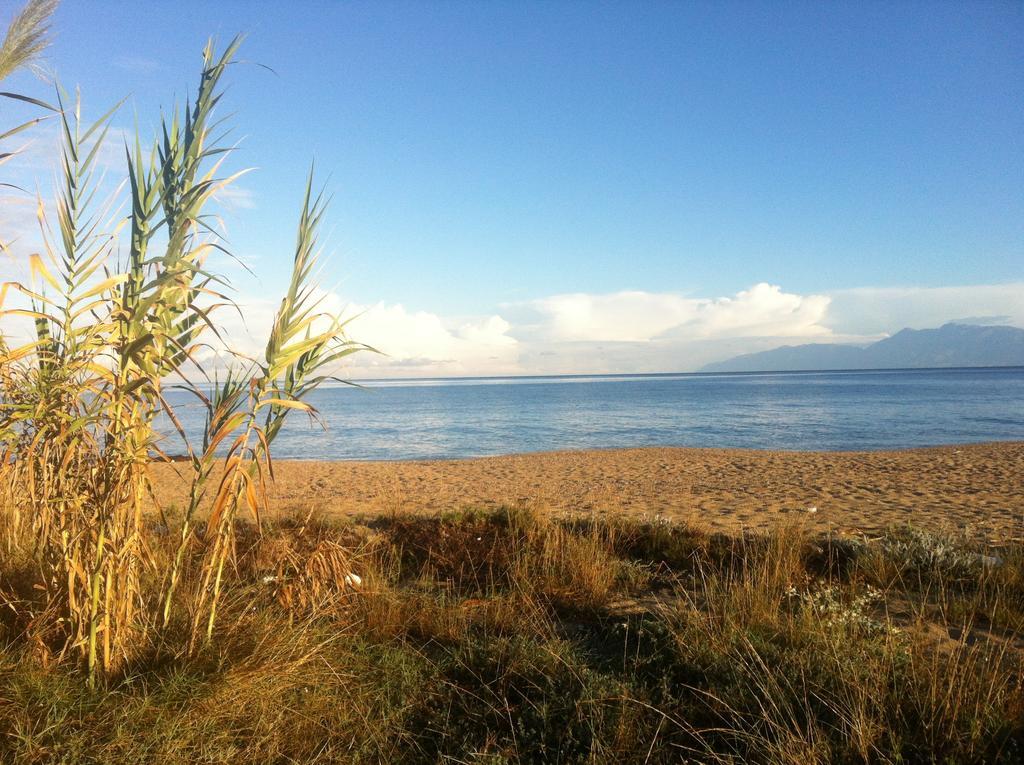 Liberty'S Studios Almiros Beach ห้อง รูปภาพ